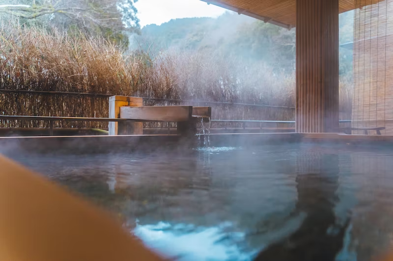 Have you ever visited Hakone?
